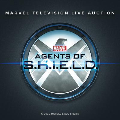 TEST LOT - Marvel's Agents of S.H.I.E.L.D. - TEST YOUR BID BUTTON NOW